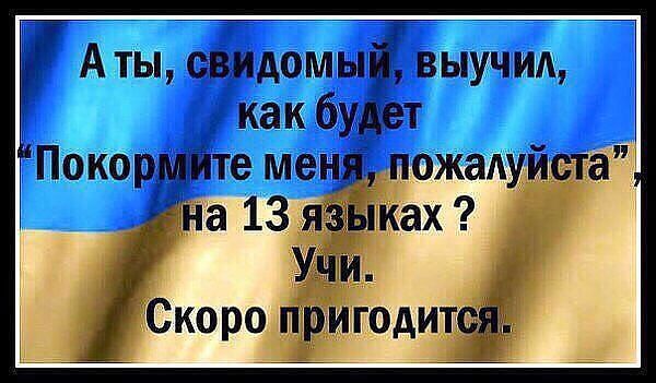 В рядах «свидомых патриотов» начались горькие разочарования В рядах «свидомых патриотов» начались горькие разочарования