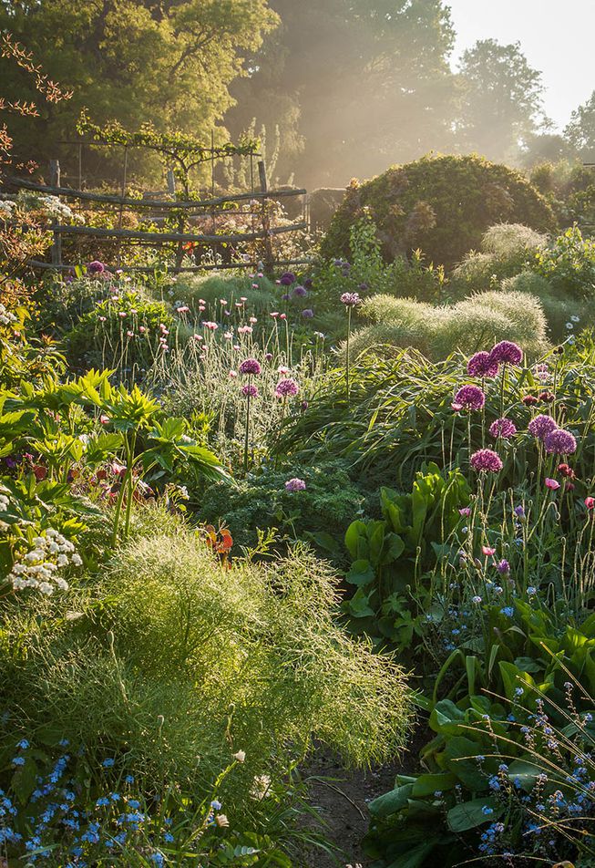 Лучший садово-парковый фотограф в конкурсе International Garden Photographer of the Year 2018