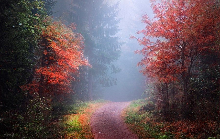 ФОТОВЫСТАВКА. Пейзажи Mehmet Eralp ФОТОВЫСТАВКА. Пейзажи Mehmet Eralp