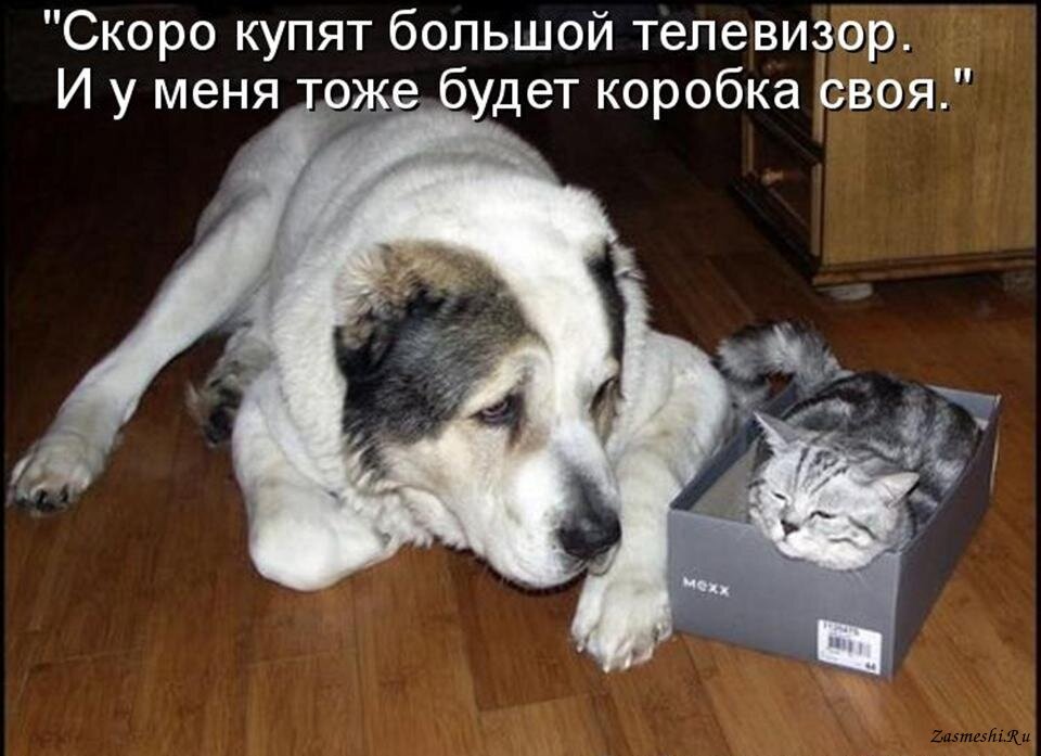 Фото взято из открытого источника Яндекс.Картинки