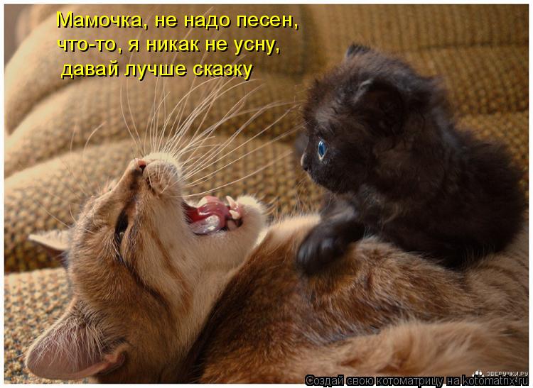  - ,   , -,    ,   