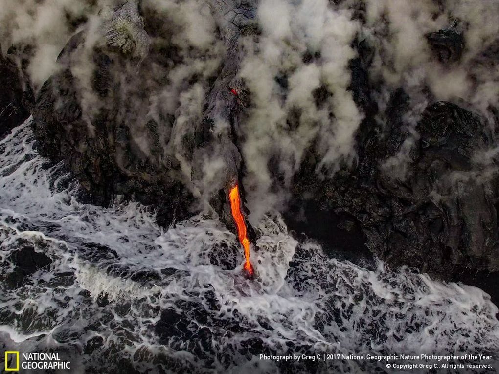 33 fotos, que a revista National Geographic chamou as melhores fotos de vida selvagem de 2017