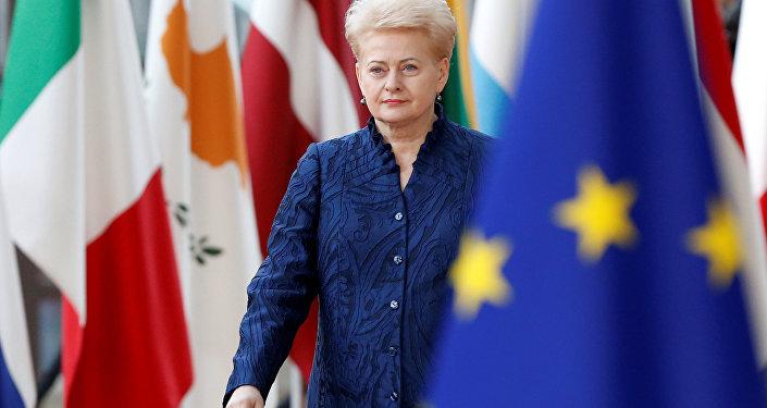 Решение Меркель изменило в лице Грибаускайте Грибаускайте изменилась в лице после решения Меркель