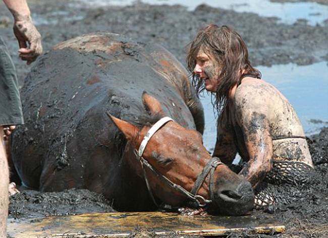 Этот конь тонул в трясине... Но то, как его хозяйка спасала своего любимца - достойно восхищения!