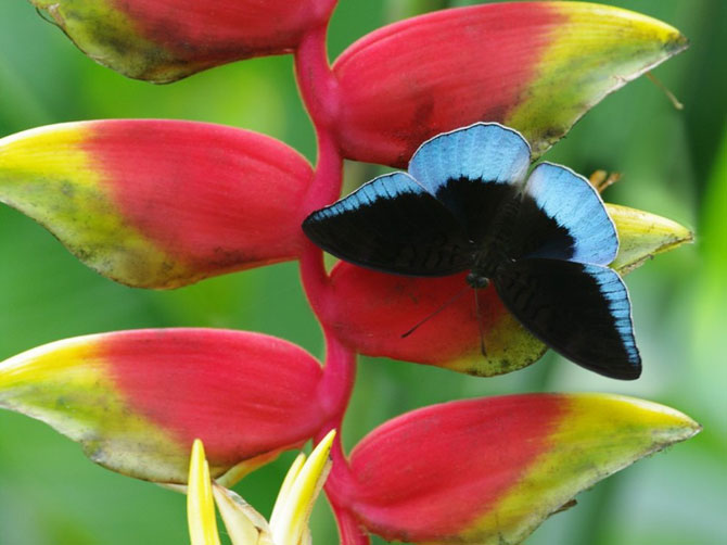 Лучшие фотографии мая 2012 от National Geographic