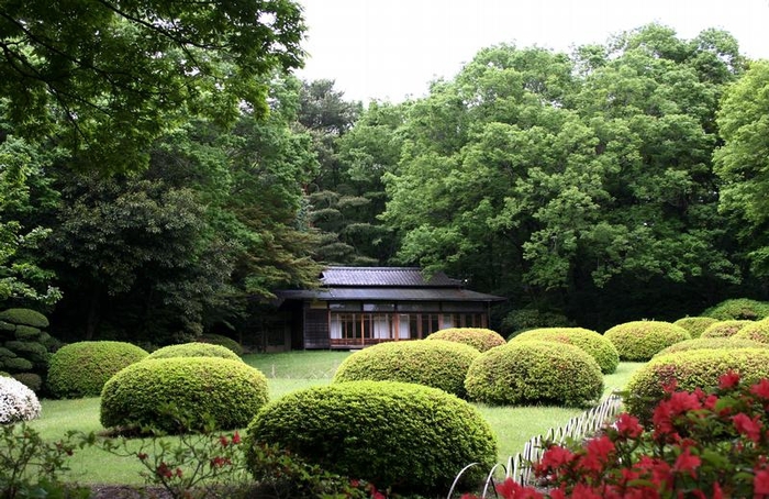 Японский сад (241) (700x454, 302Kb)