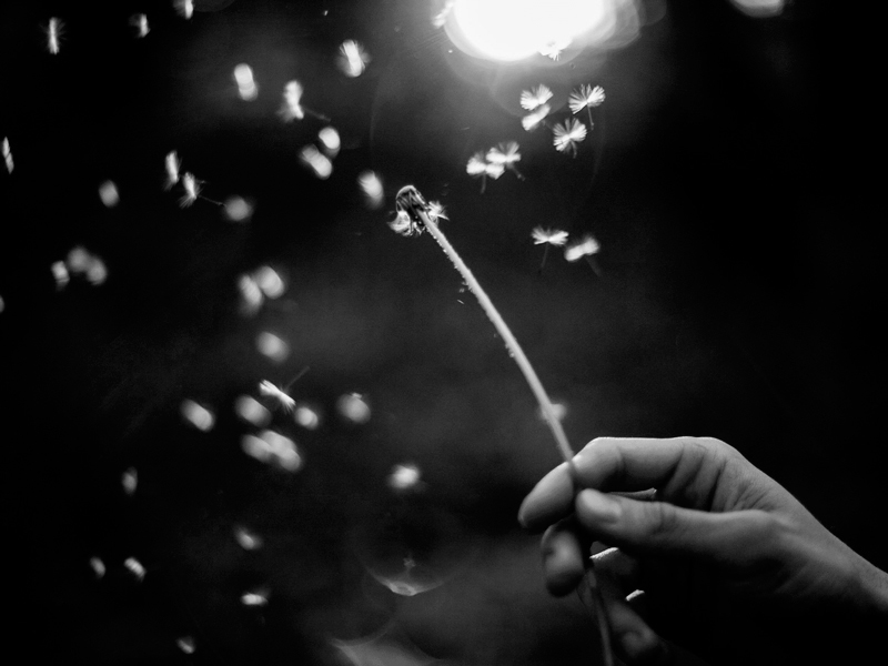 3 вида обиды 3 вида обиды