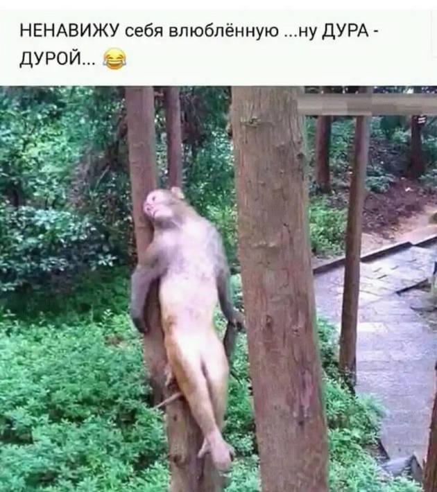 Идет детская передача "Спокойной ночи". Тетя Таня... Идет детская передача "Спокойной ночи". Тетя Таня...