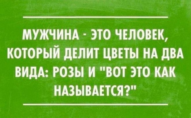 18 лучших саркастических открыток 18 лучших саркастических открыток