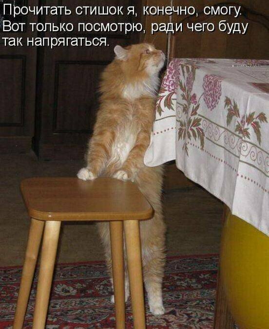Фото взято из открытого источника Яндекс.Картинки