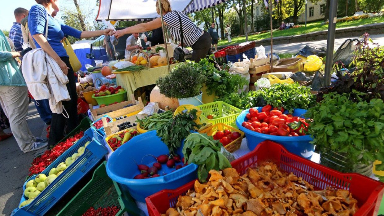 Логистический хаб для овощей из Узбекистана могут построить в Оренбуржье