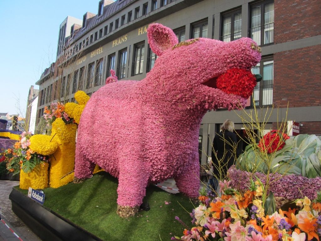 NewPix. ru -    Bloemencorso