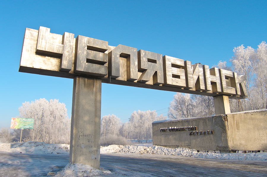 Британская кошка полюбила волосатика, выпавшего из крана! Хозяйка поселила его в банке и назвала Васей…