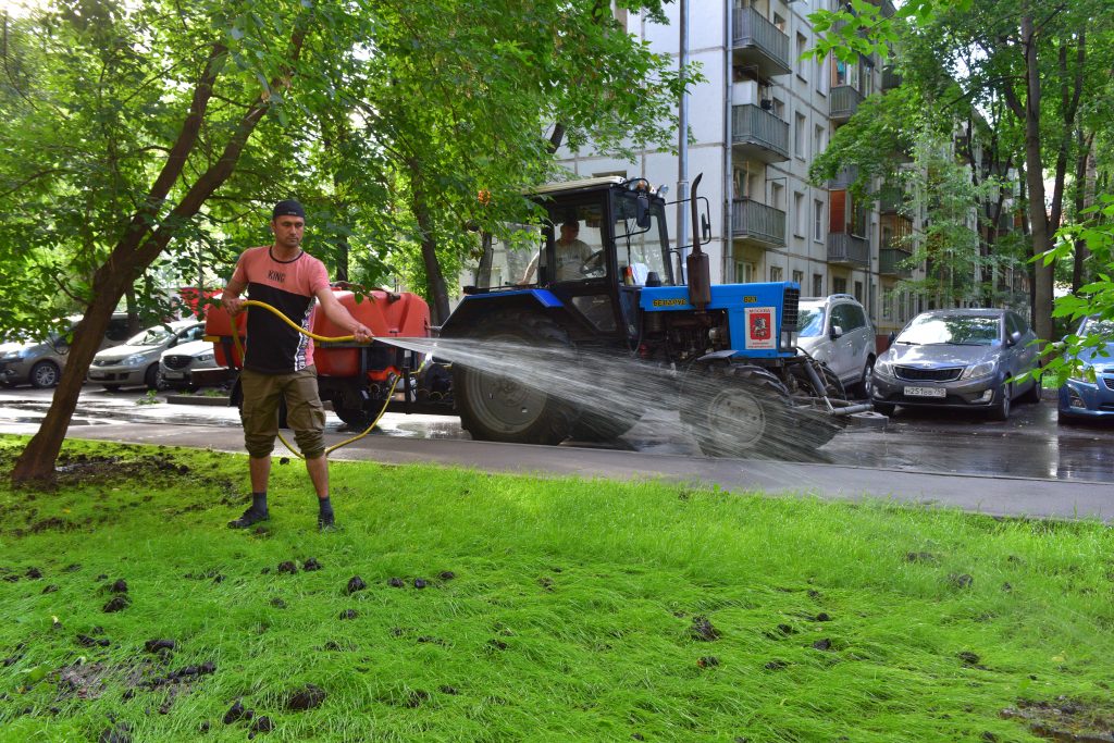 Если на улице выше плюс 25 градусов, то газоны поливают раз в три дня/Денис Афанасьев, «Восточный округ»