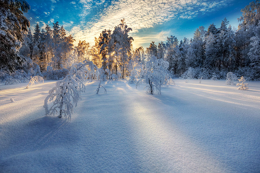 Gorgeous Winter Landscapes 10   