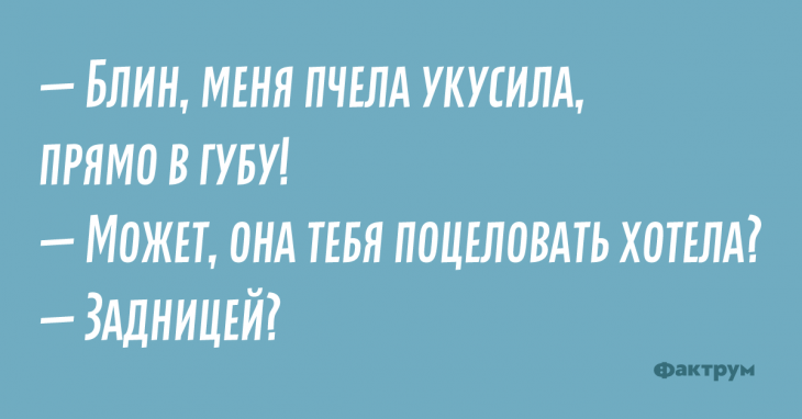 Свеженькие анекдоты, которые невозможно читать без улыбки Свеженькие анекдоты, которые невозможно читать без улыбки
