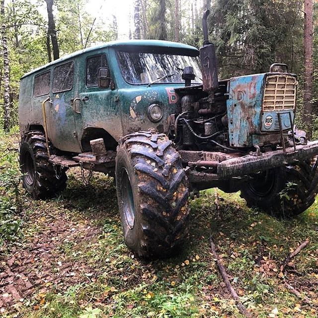 Юмор выходного дня
