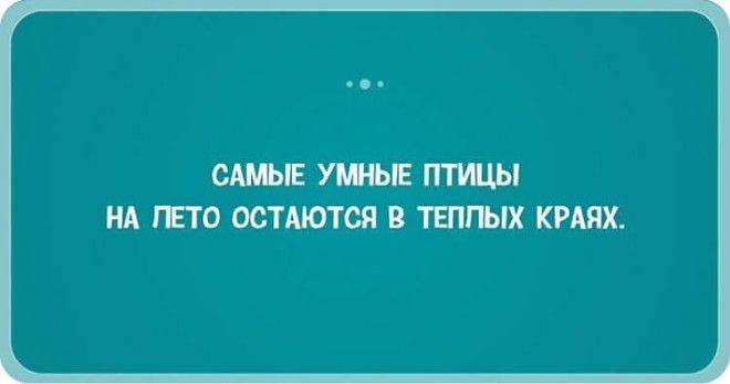 28 жизненных открыток-адреналинок, которые 100% вас порадуют 28 жизненных открыток-адреналинок, которые 100% вас порадуют