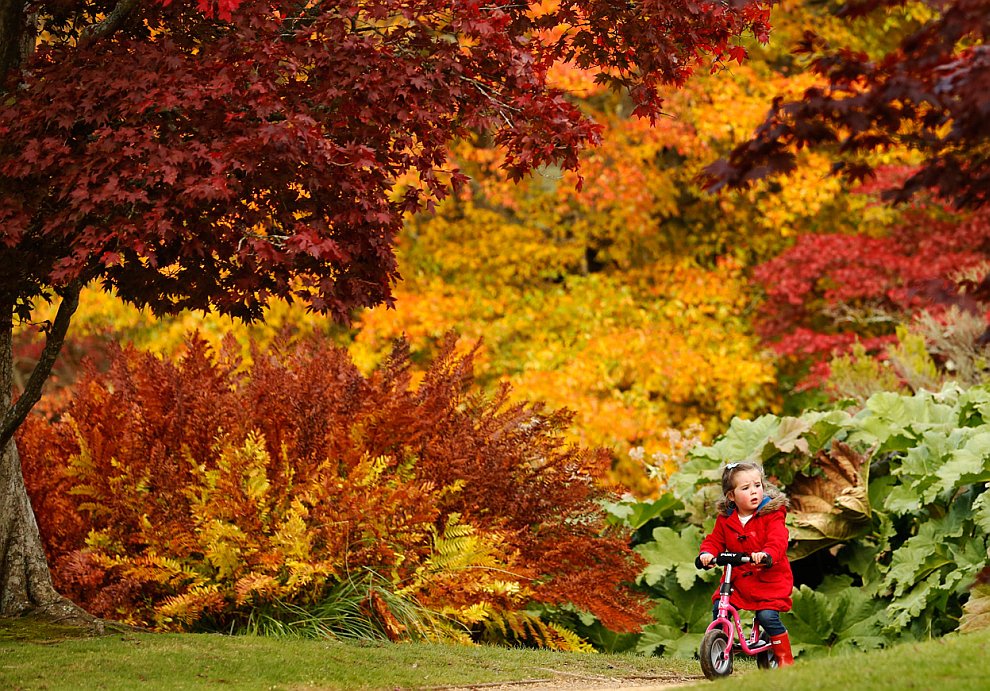Осень в парке на на юге Англии