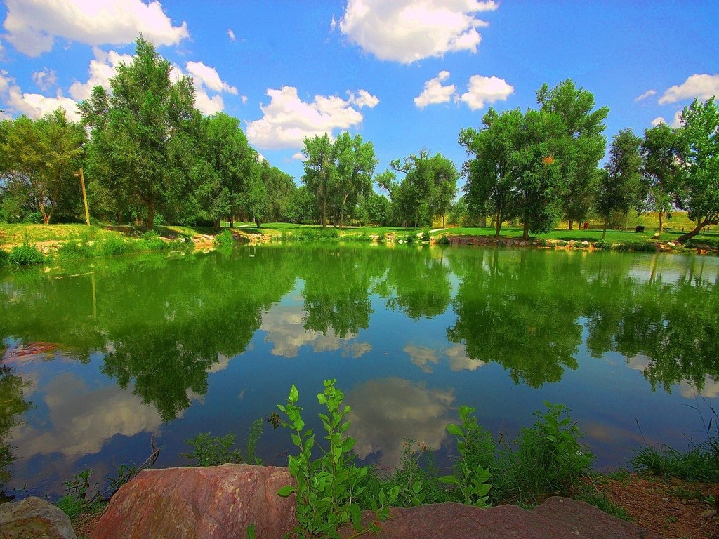 Природа России 6 Природа России 6