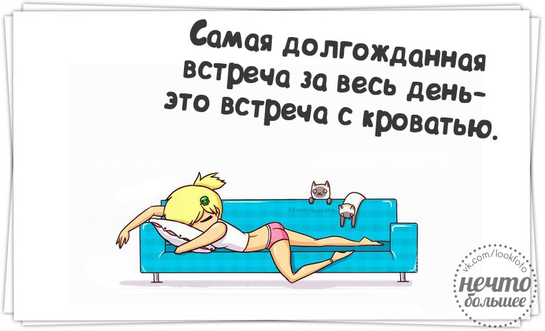 Смешные фразы в открытках 17