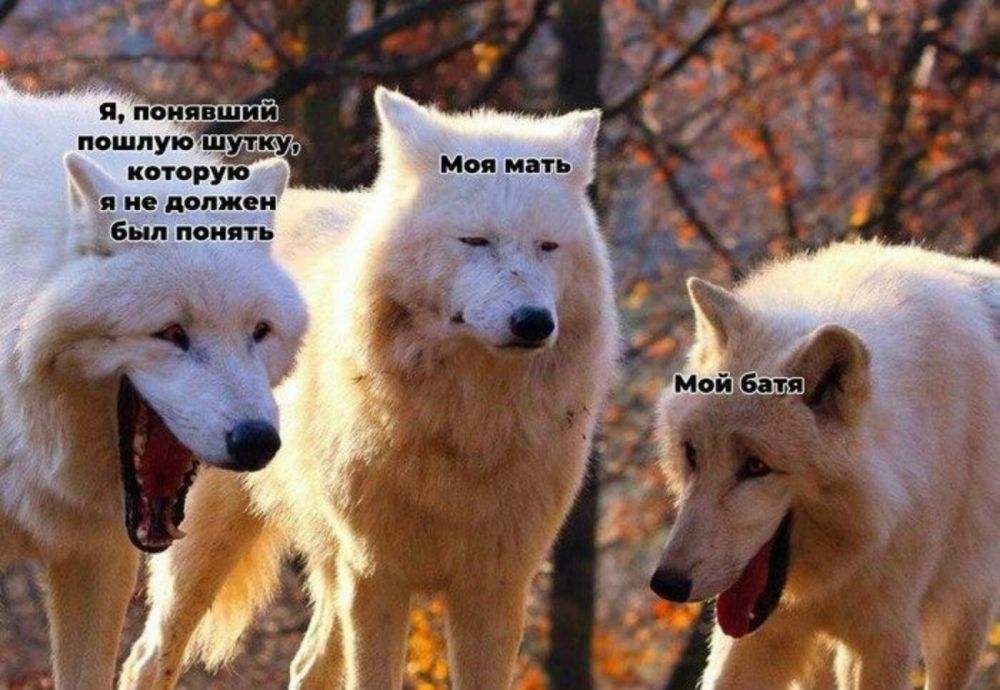 10 мемов про двух волков, которые смеются над третьим