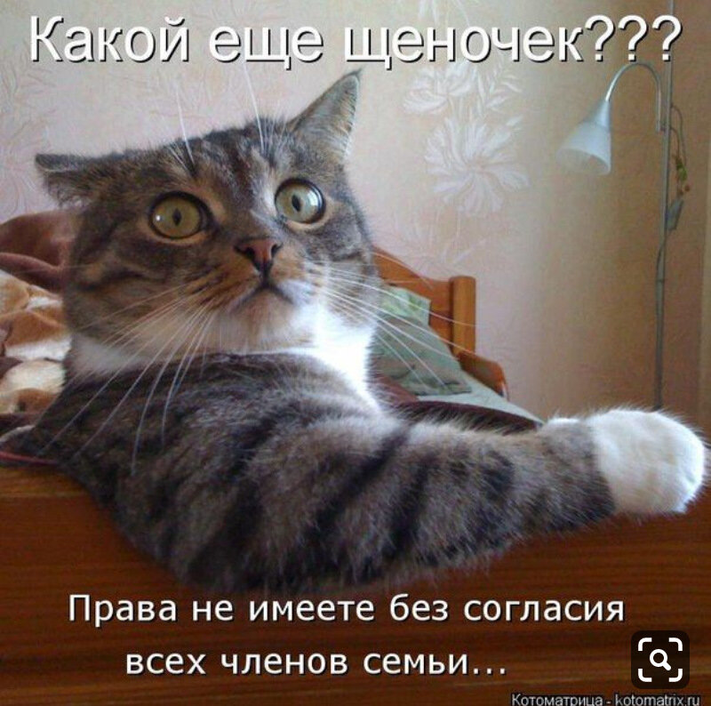 Фото взято из открытого источника Яндекс.Картинки