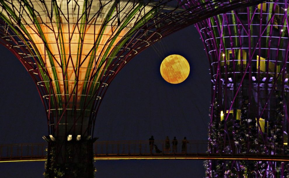 supermoon13 20 самых красивых фотографий «суперлуны» 2013
