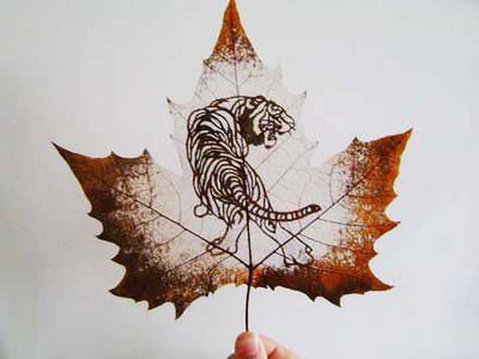 лист, рисунок, удивительно, осень