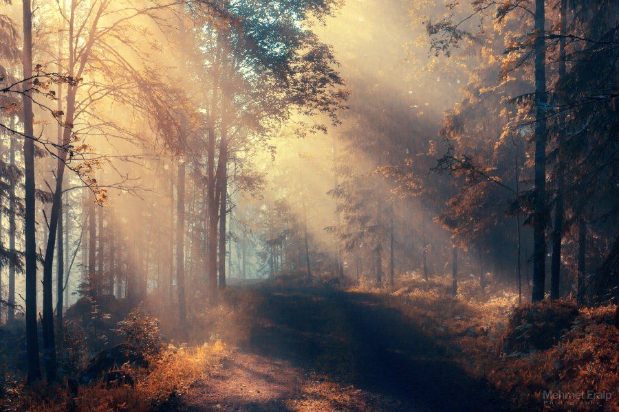 ФОТОВЫСТАВКА. Пейзажи Mehmet Eralp ФОТОВЫСТАВКА. Пейзажи Mehmet Eralp