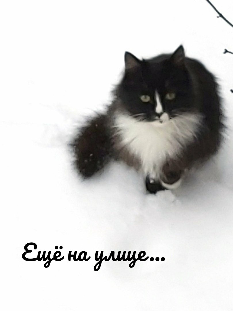 В поисках своих родных невероятно красивый и ласковый малыш!