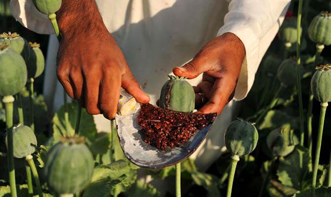 Опиум в Афганистане, Интересные факты о Странах Мира