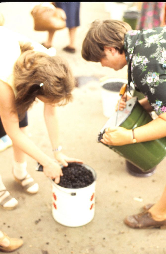 СССР, история, путешествие, туристы