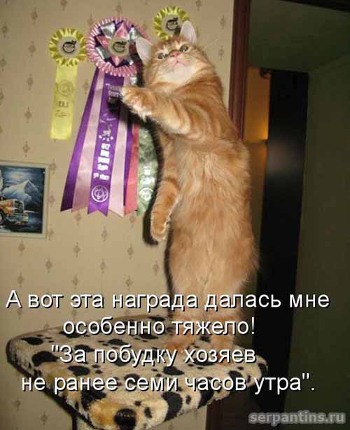 тяжелая награда