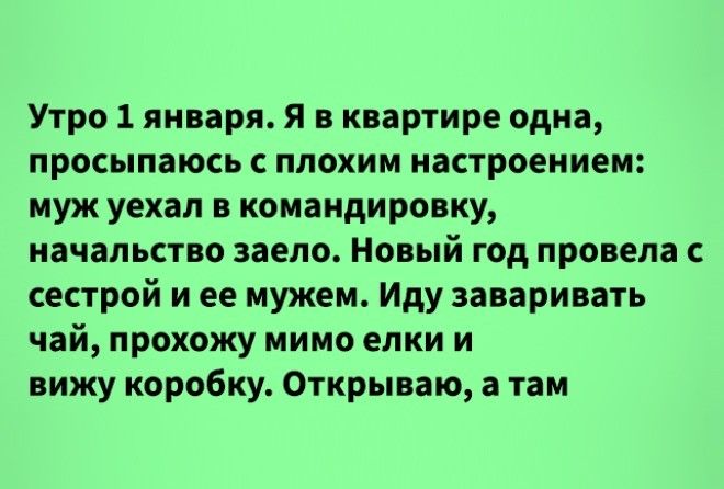 15 ТЕПЛЫХ ИСТОРИЙ О ТОМ, ЧТО ЧУДЕСА И НОВЫЙ ГОД НЕРАЗЛУЧНЫ