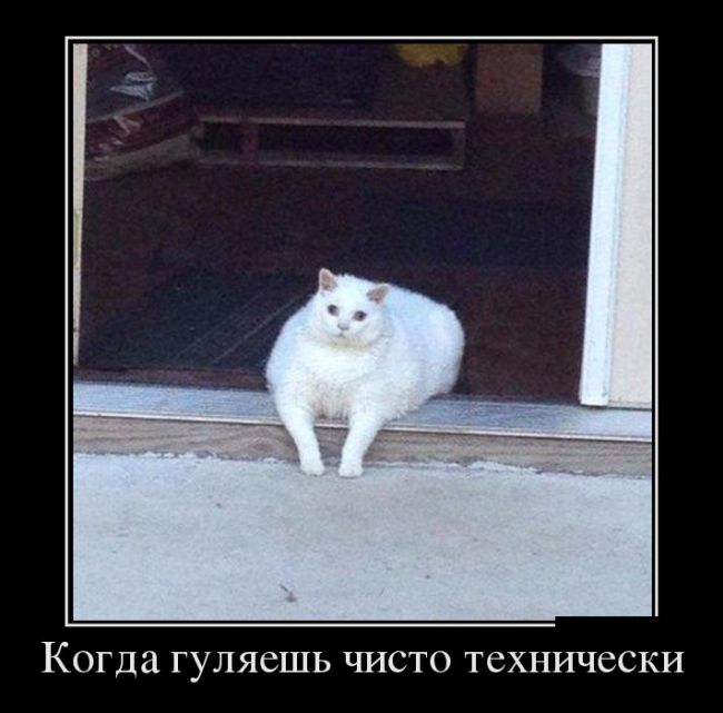 Прикольные демотиваторы на вторник (10 фото) Прикольные демотиваторы на вторник (10 фото)