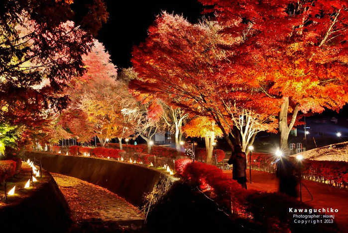 1388829292-DSC4619a-o (800x567, 570Kb)