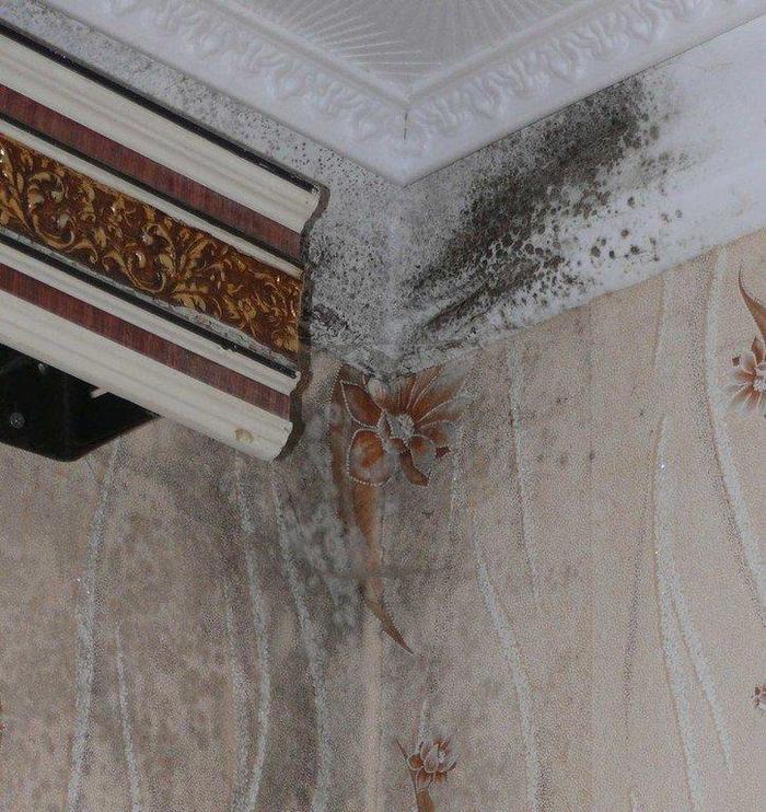 10 вещей в вашем доме, из-за которых вы БОЛЕЕТЕ 10 вещей в вашем доме, из-за которых вы БОЛЕЕТЕ