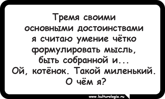 15 открыток, которые будут близки и понятны поклонникам котиков