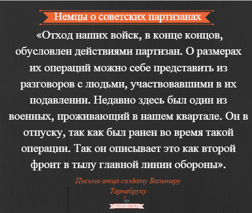 «Народные мстители»: как во время войны воевали партизаны «Народные мстители»: как во время войны воевали партизаны