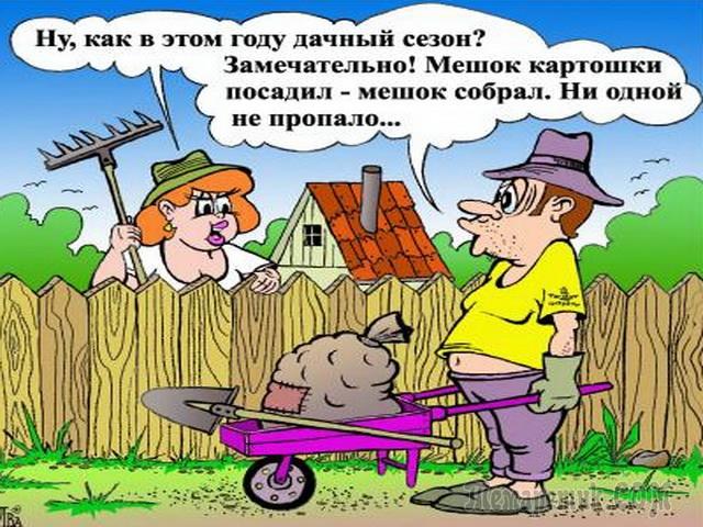 Прикольное поздравление дачника