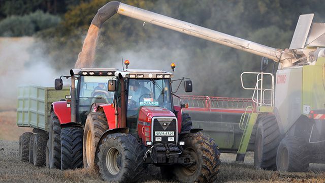 Массовое вымирание насекомых в Германии ударит по сельскому хозяйству