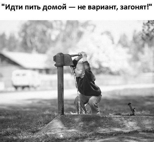 Фото Приколы (43 фото) Фото Приколы (43 фото)