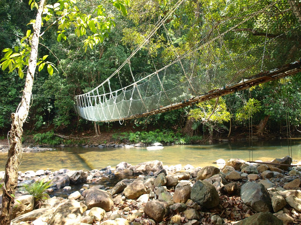 Taman Negara National Park Bridge