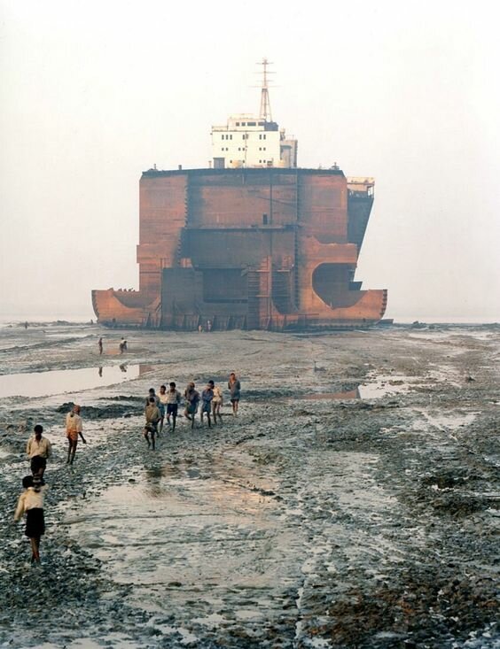 30 фото о жизни и смерти коней моря 30 фото о жизни и смерти коней моря