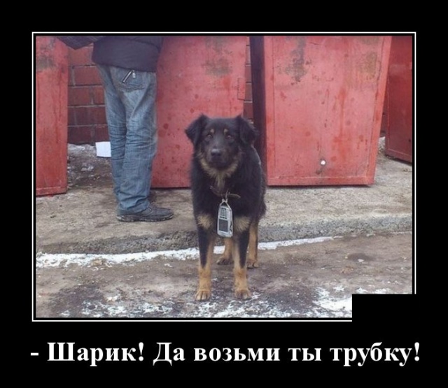 Забавные и новые демотиваторы. 547 ( 30 фото ) Забавные и новые демотиваторы. 547 ( 30 фото )