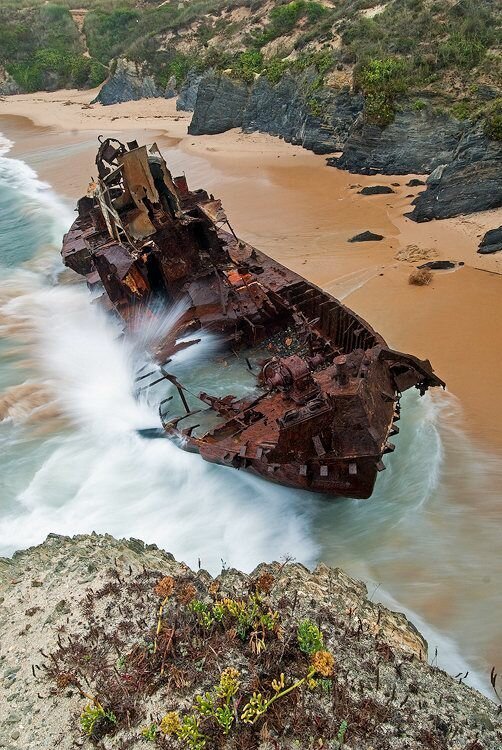30 фото о жизни и смерти коней моря 30 фото о жизни и смерти коней моря