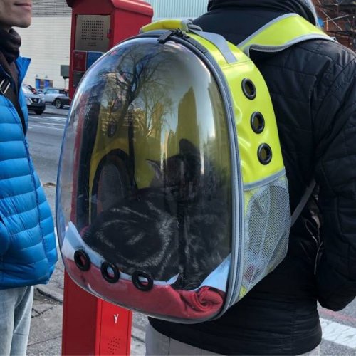 Потрясающие примеры креативного дизайна, которые мы не могли вам не показать Потрясающие примеры креативного дизайна, которые мы не могли вам не показать