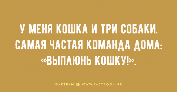 15 классных анекдотов, над которыми можно смеяться бесконечно 15 классных анекдотов, над которыми можно смеяться бесконечно