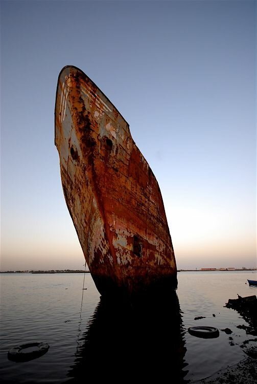 30 фото о жизни и смерти коней моря 30 фото о жизни и смерти коней моря
